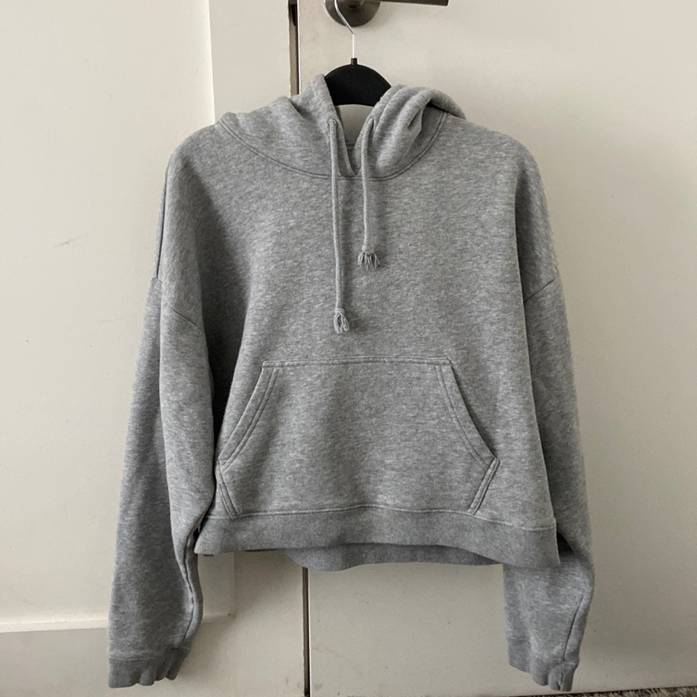 Vintage Aritzia Hoodie